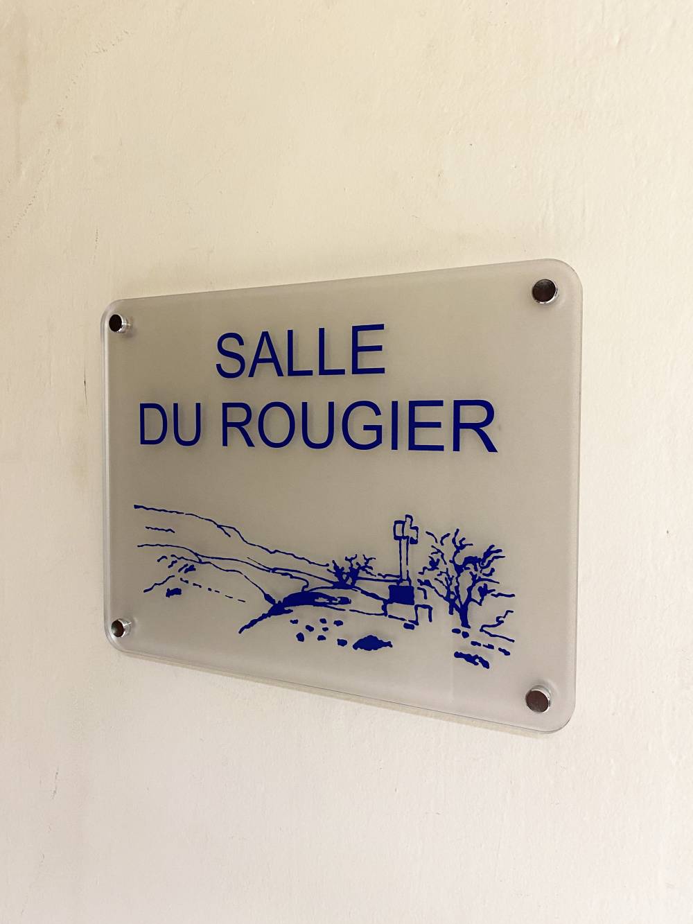 Plaque en plexiglass avec kit adhésif bleu, fond "sablage" et kit visserie chrome